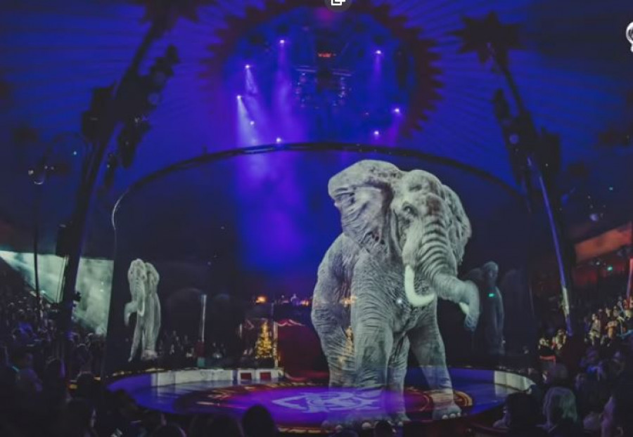 Vizuális effektekkel helyettesítik a cirkuszi élő állatokat