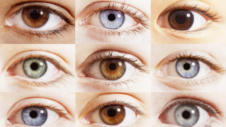 Mitől függ, hogy milyen színű a szemünk?