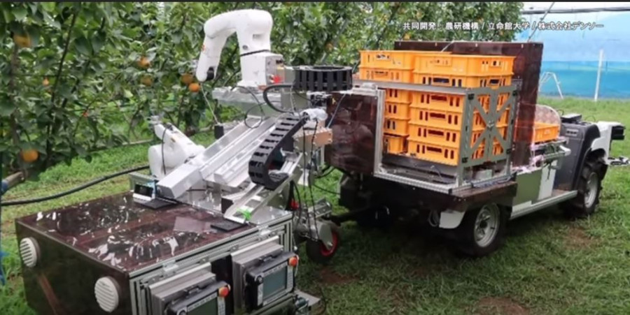 Gyümölcsszüretelő robotok - érdemes megnézni, hogy szedik az almát